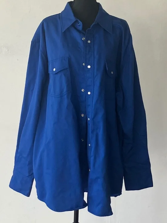 Blue Carhartt button down shirt - Picture 1 of 10